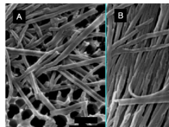 Synthesis and Characterization of Non-linear Nanopores in Alumina Films